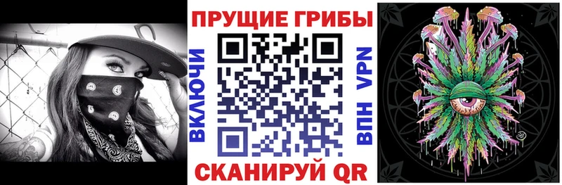 мориарти какой сайт  Валуйки  Псилоцибиновые грибы прущие грибы 